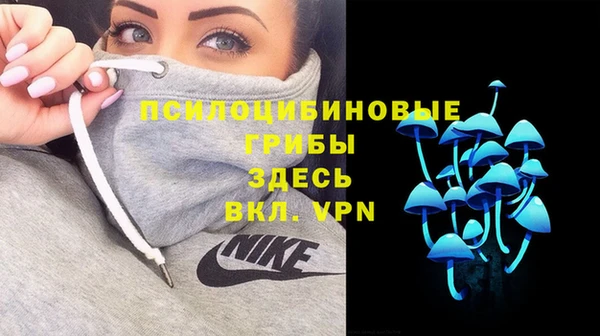 кокс Дмитровск