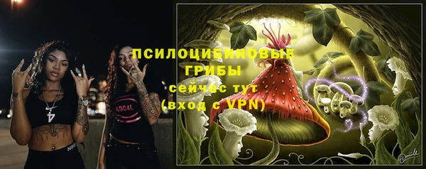 кокаин перу Дмитриев